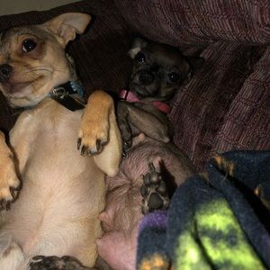 Meet your Posher, Angela